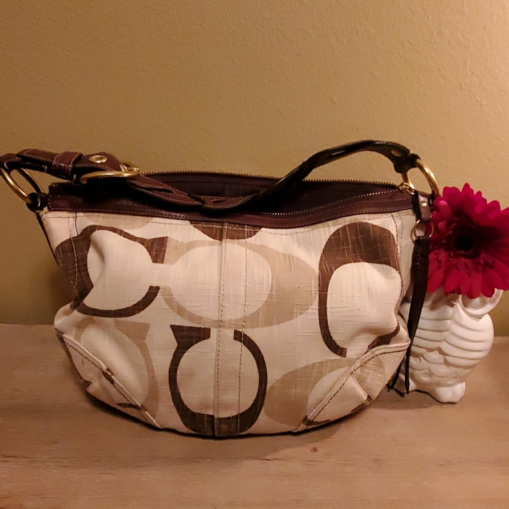 Small Coach hobo bag